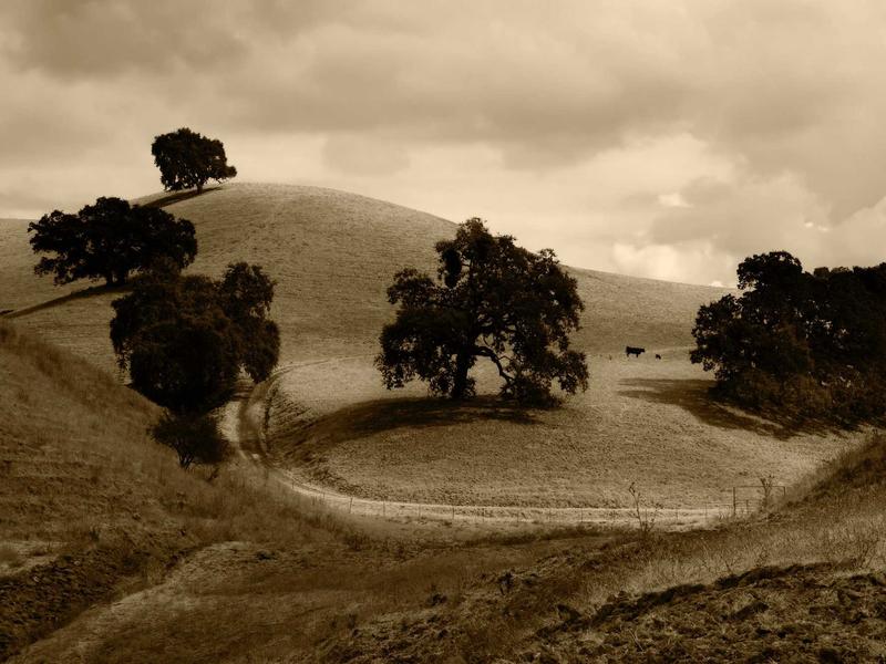 sudoku multiple solutions screenshot 3